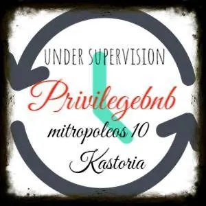 αnastasia Privileged Apartment Kastoria